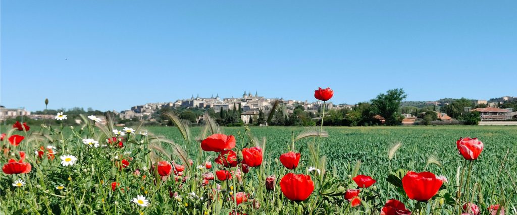 Toledo Natura ¡Bienvenido!