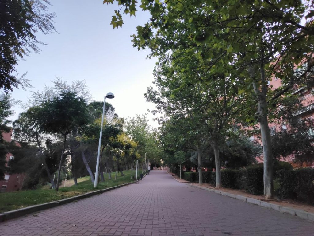 Parque de Bélgica: Un Oasis No Apto para Alérgicos